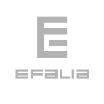 cabinet-recrutement-lyon-informatique-efalia