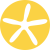 cropped-icone-alexy-rh-jaune-fbd244.png